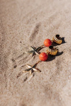 B.O PAMPELONNE -Citron Style Promos Boutique LaurenceRevol MML BENIDORM J2 47 scaled