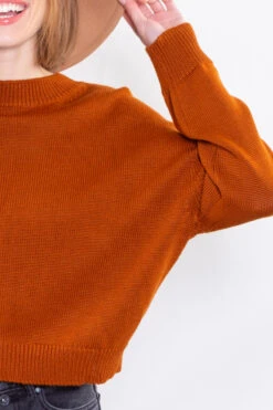 Pull Carolina -Citron Style Promos Boutique large IMG 1814